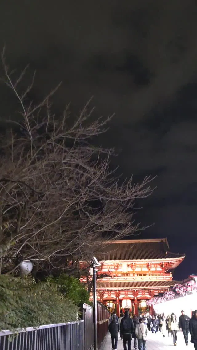 明けましておめでとうございます